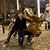 Tracy Hess's profile image