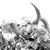Jacques Le Roux's profile image
