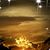 Judi V. Cugat's profile image