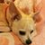 Jean Loftin's profile image