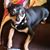 Carlena Marie Whittaker's profile image