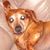 Jerry Brown's profile image