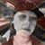 Lacy Tamayo's profile image