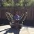 Katherine Shelton Giusto's profile image