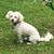 Jessie Mohring's profile image