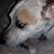 Beth Hayes-Dunnivan's profile image