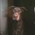 Mar E Parkansky's profile image