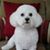 Mae LaVoy's profile image