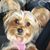 Sylvia M. Watson's profile image