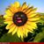 Tina Taylor's profile image