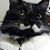 Arlyn Buck's profile image