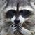 Doris Mcknight's profile image