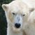 Nancy Traver's profile image