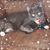 Anita Terronez Rich's profile image