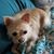Valerie Stratton's profile image