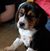 Lisa Kuske Hill's profile image