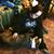 Kayla L Groff's profile image