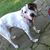 Helen Olivia Parbuoni's profile image