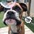 Sharlene Sherry Sturman's profile image