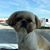 Bud Genung's profile image