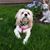 Mary Shaftic-Milici's profile image