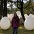 Elise Haupt's profile image