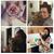 Laura Ann's profile image