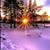James Ayliffe's profile image