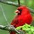 Jayme Makowski's profile image