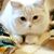 Christa Lee Fleck Brynwood's profile image