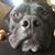 Kate McGrail's profile image