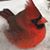 Laurie Riessland's profile image