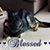DRod Knepper's profile image