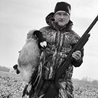 Dawson Dwight Messenger's profile image