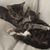 Christa Vodola's profile image