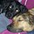 Debbi Campbell Wilsey's profile image