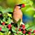 Amy Slagle Kelly's profile image