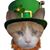 Jessica Taylor's profile image