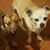 Loree Gaskill's profile image
