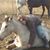 Kevin Wendt's profile image