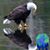Sandi Chrystal's profile image