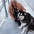 Roberta Francis Hawkins's profile image