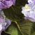 Nancy Philbeck White's profile image