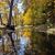 Shelley Davis-Wilkin's profile image