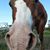 Lisa Marie Strainer's profile image