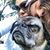 Sarah Cerri's profile image