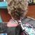 Connie Chancellor's profile image