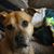 Destiny Glaubitz's profile image