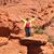 Nancy Tippets's profile image