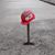 David Pacheco's profile image